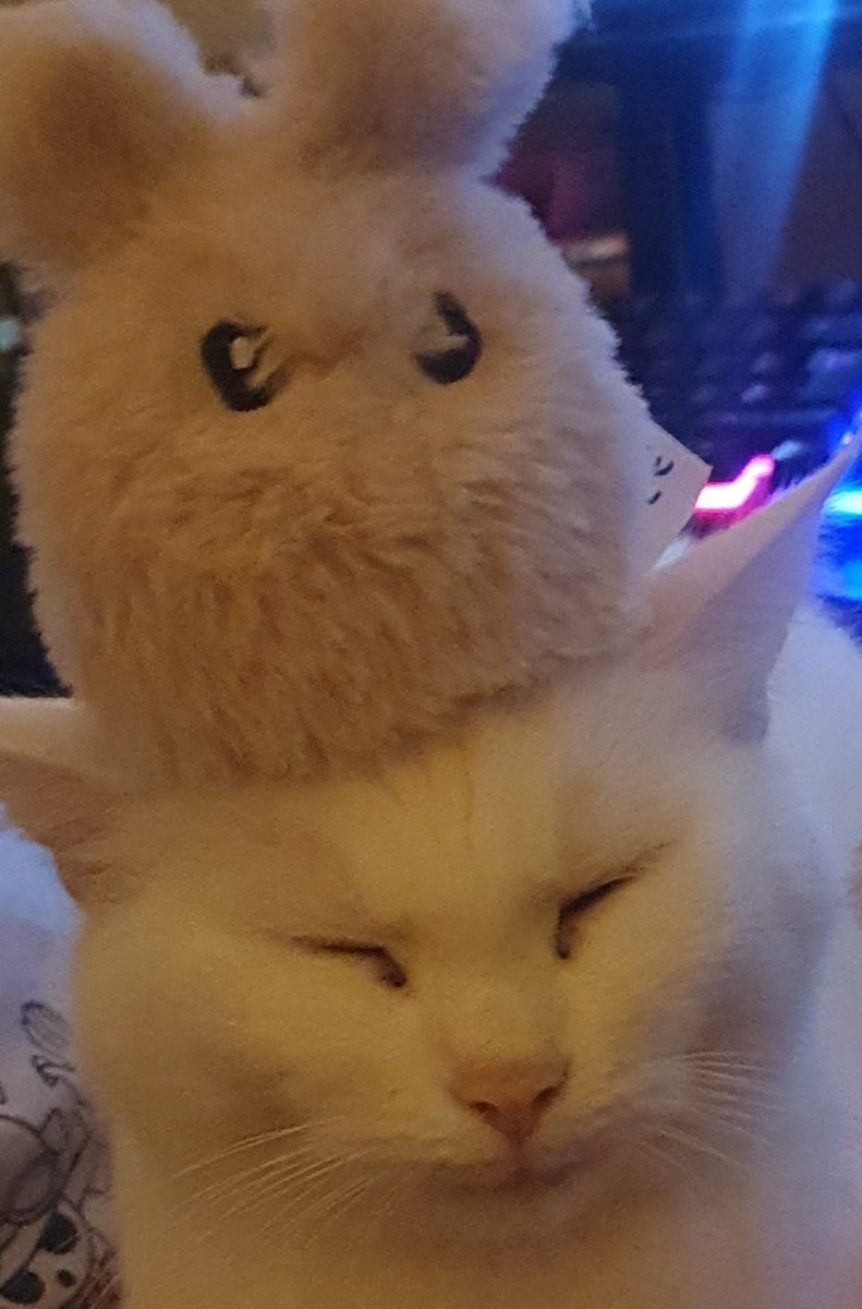 😊