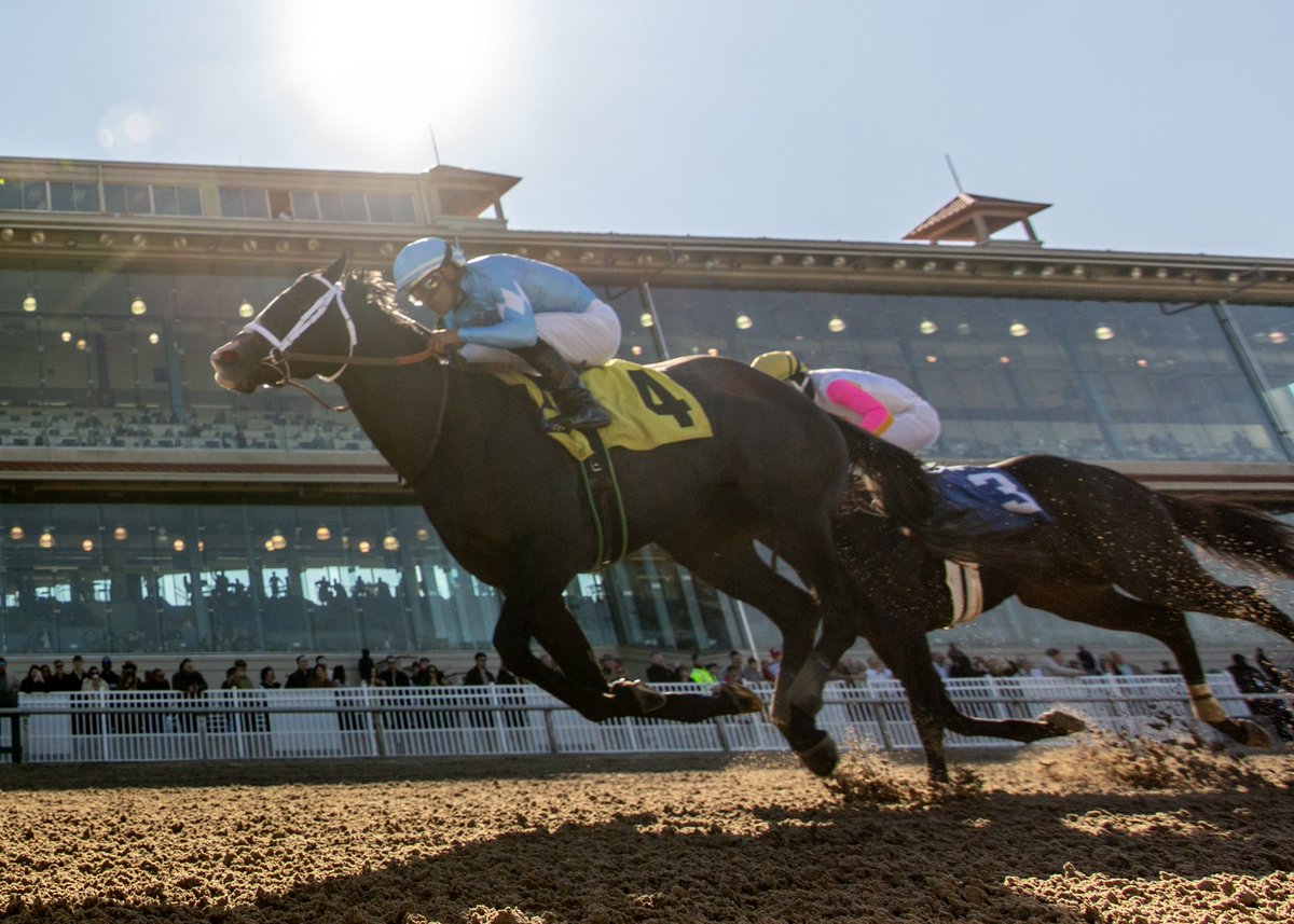 GervaisRacing's tweet photo. Tough Catch 🏆 Sugar Bowl Stakes @fairgroundsnola https://t.co/FG9q8x8gQN