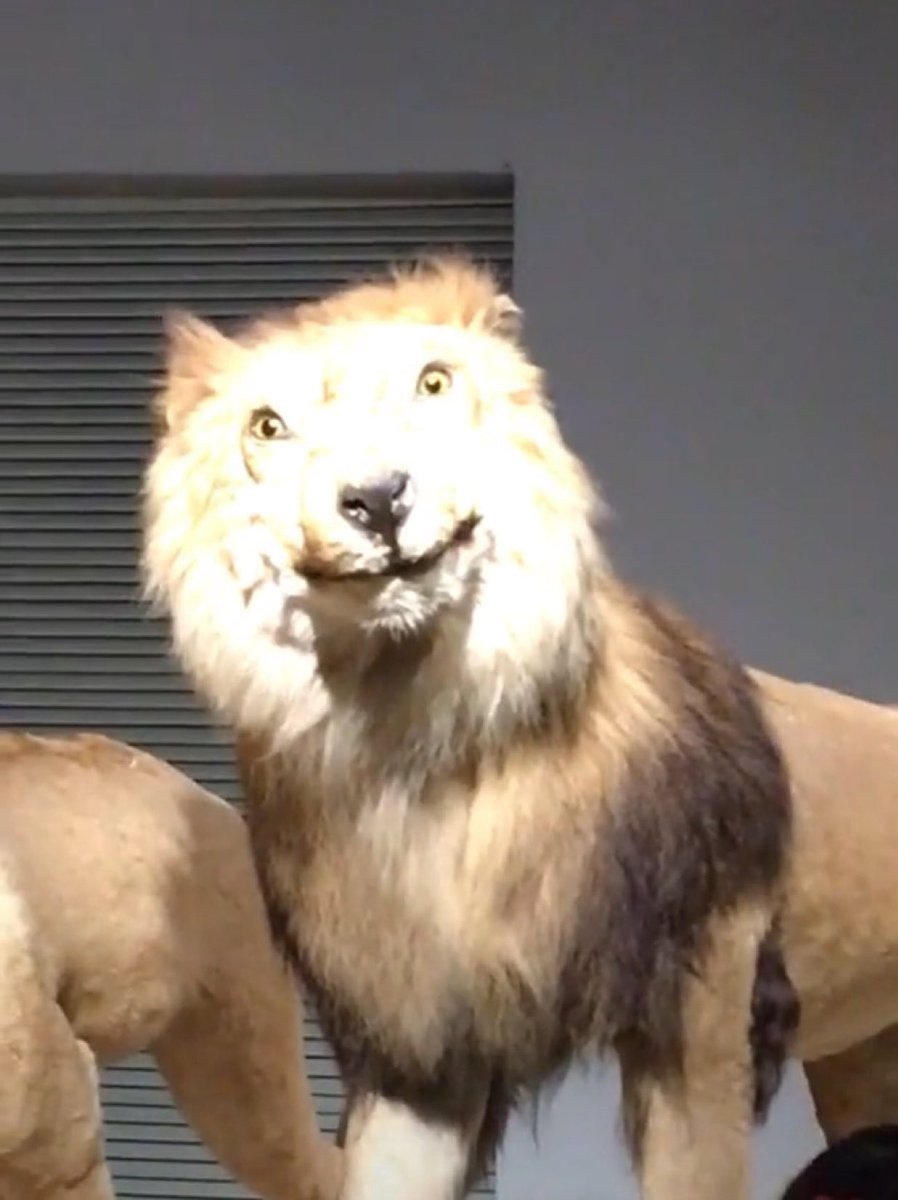 <a href="/Darky1k/">Darky</a> APE THAT INTO $LAWN

<a href="/LawnRar_On_Sol/">Lawn_Rar</a> <a href="/NickWK/">Nick Kaufman</a> 

Don't sleep on this big things are coming, dev supply is locked, twitter spaces and updates every day, and he's super open about what to do with the dev supply.

Thats a bunch of green flags if you ask me.  

ITS GOING TO THE MOON