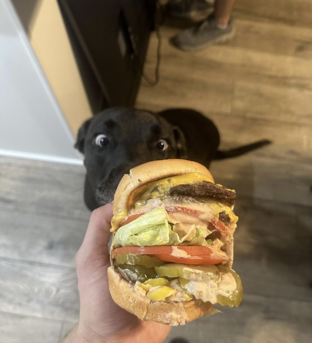 ᶠᵃⁿ In-N-Out Burgers tweet media
