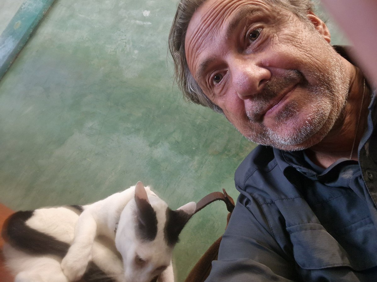 OfficialTozzi's tweet photo. La stagione di #sapiensunsolopianeta @RaiCultura si è chiusa con un onorevole terzo posto fra i programmi di sabato: grazie a tutti, sarchiaponi compresi. Hic manebimus optime. https://t.co/i4yNdcHQ29