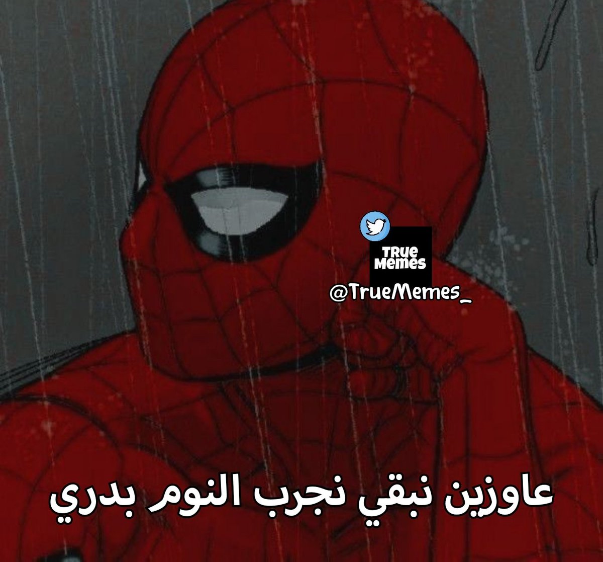 True Memes (@truememes_) on Twitter photo 