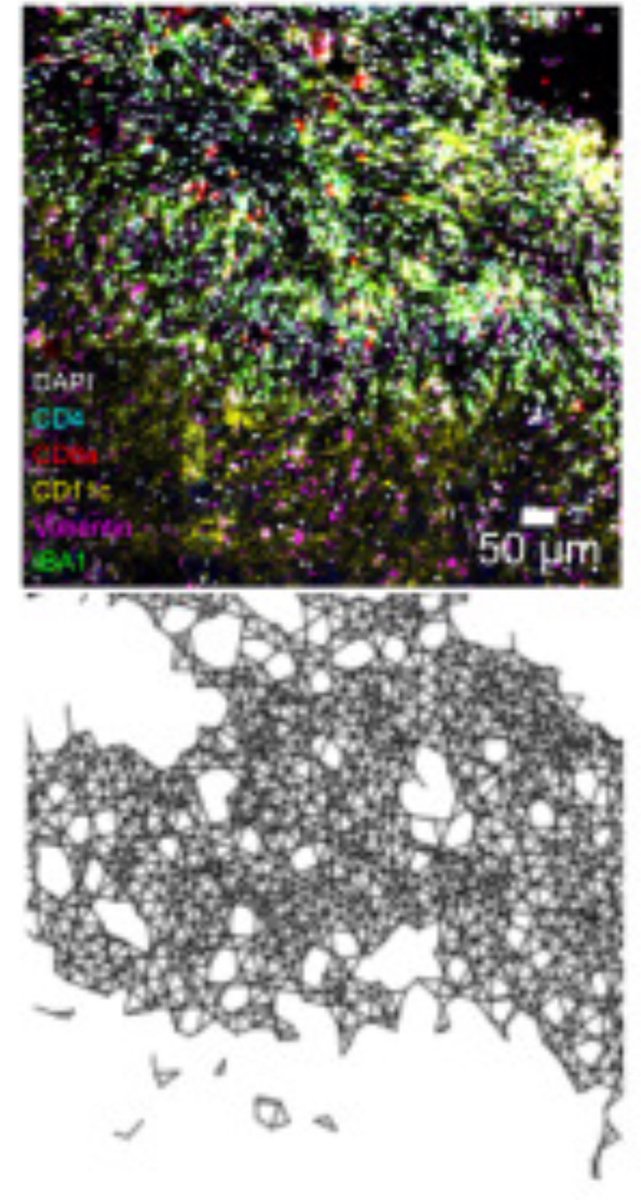 Inga-Maria Launonen tweet media