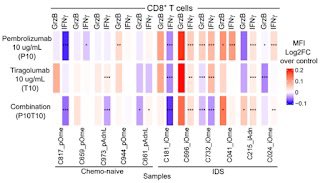 Inga-Maria Launonen tweet media