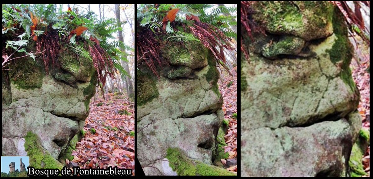 Rekenaton's tweet photo. El #bosque de #Fontainebleau #Paris : Parque Temático de Seres del otro Pasado
Roca curiosa o caprichosa para #geologos su #geologia
#ciencia : #pareidolía creada por Tu cerebro
#NASA #ESA #Earth #manipulación #educación #borregos #geology #Arqueología https://t.co/fMm3Kfr6eI