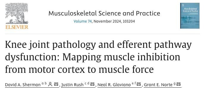 🤔 Could dysfunction in the brain's motor pathways explain long-term muscle weakness and poor recovery after knee injuries like ACL tears or osteoarthritis? #KneeInjury #MotorCortex #EfferentPathways #Rehabilitation

🟢 Open access: buff.ly/3ZLN5H3