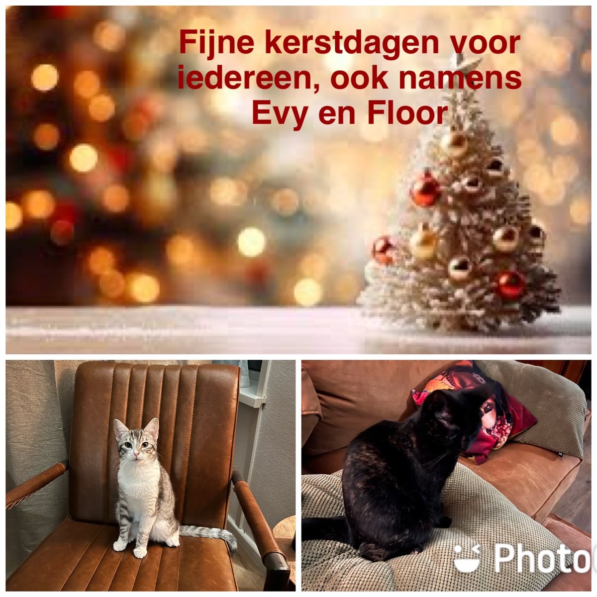 Anna 🌈 (@anna7119) on Twitter photo 