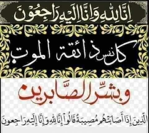 AshrafSahak's tweet photo. @SajidFb ماشاالله ماشاالله زبردست الله تعالا ه دي جنت الفردوس ورته نصیب کری https://t.co/9qFaBY7KP4