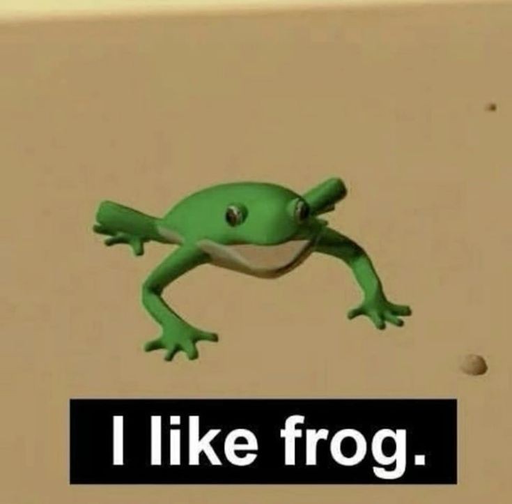 No Context Frogs (@nocontextfrogs) on Twitter photo 