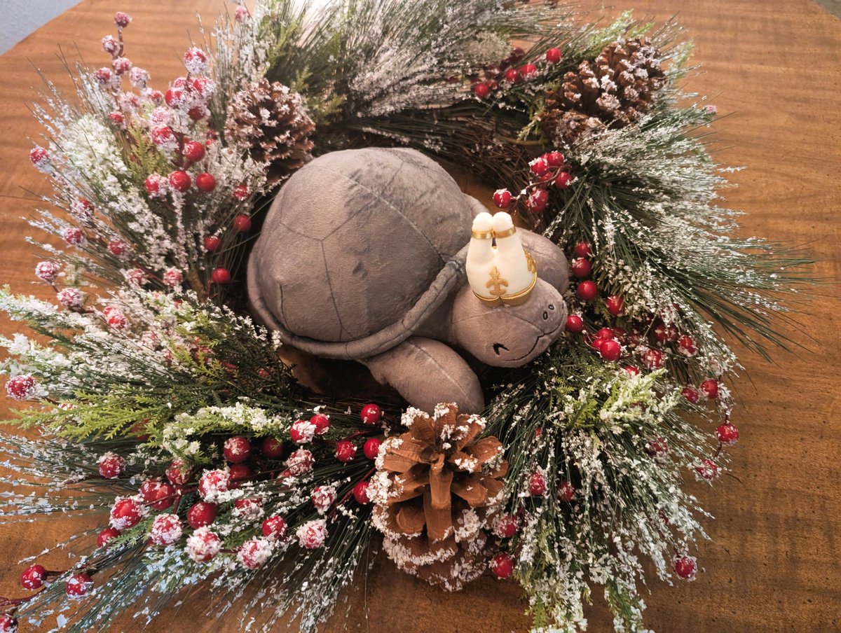 Jedi_Shadow's tweet photo. Didn't feel like doing a tree this year but Turtle Pope enjoys the wreath so that's all that matters. https://t.co/1u1SXP80hU