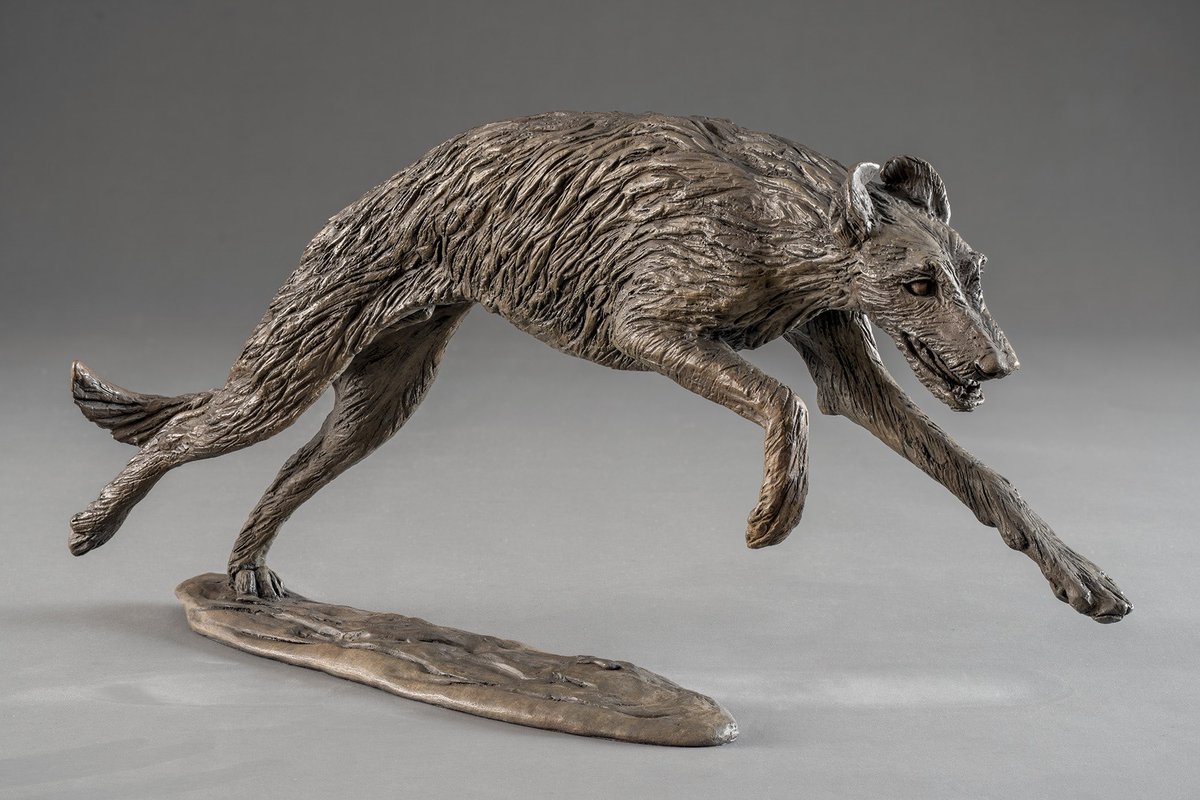 NickMackman's tweet image. New Bronze Scottish Deerhound Sculpture. Capturing their joy of running whether it’s on the beach or across the Glen. Available now in a limited edition.: nickmackmansculpture.co.uk/portfolio-item… #deerhound #sighthound