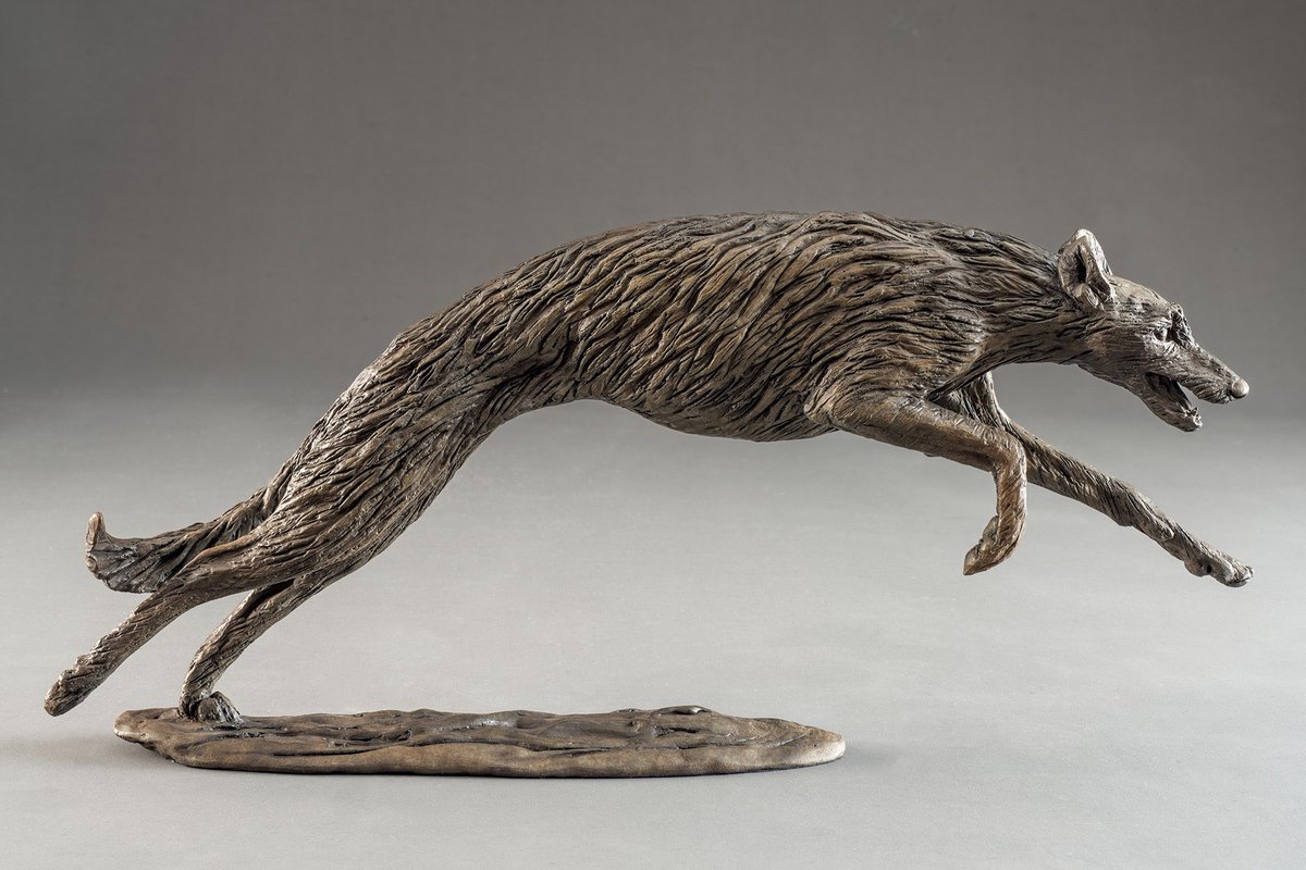 NickMackman's tweet image. New Bronze Scottish Deerhound Sculpture. Capturing their joy of running whether it’s on the beach or across the Glen. Available now in a limited edition.: nickmackmansculpture.co.uk/portfolio-item… #deerhound #sighthound