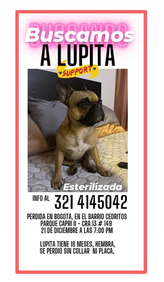 Victor Amaya 🇨🇴🇫🇷 tweet media