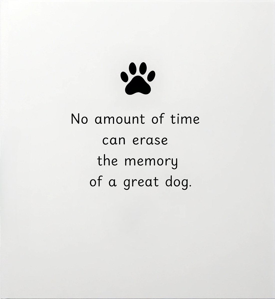 DogLovers03's tweet photo. https://t.co/iJZpyLdPQo