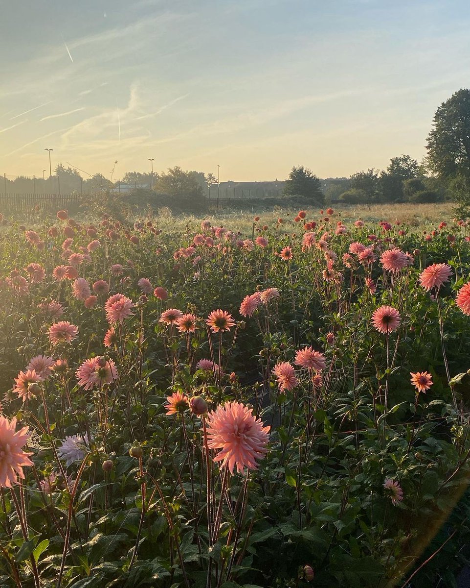 Blue Patch | Sustainably-Minded Business Community tweet media