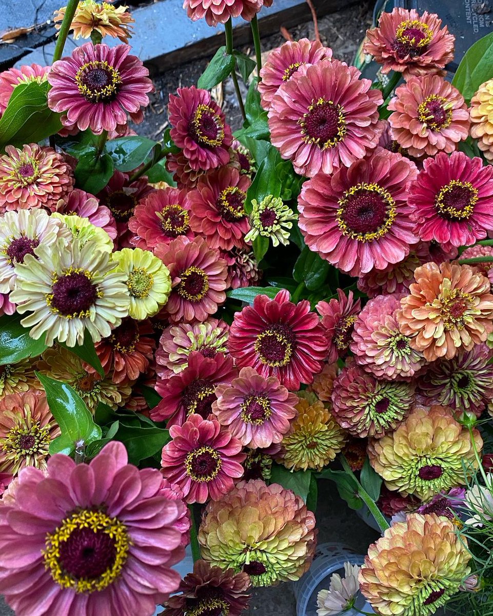 Blue Patch | Sustainably-Minded Business Community tweet media