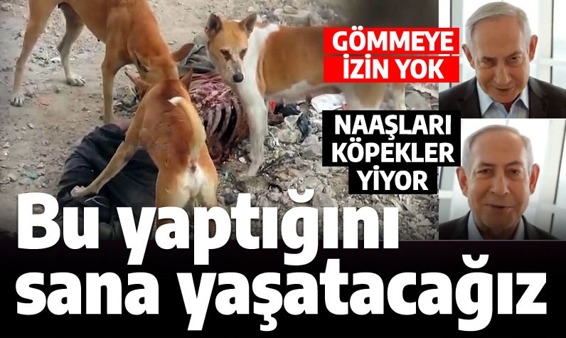 Bu öfkeyi asla unutmayın. 
İntikam duygusunu asla kaybetmeyin. 
Bu barbarlığı bütün coğrafyanın hafızasına kazıyın. 
Gazze sokaklarında tarifi imkânsız trajediler yaşanıyor.  Köpekler insanları yiyor, geriye kemikten başka bir şey kalmadı! 
Dünya böyle bir barbarlık örneği