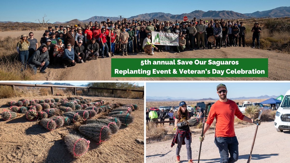 Photos from the 5th annual Save Our Saguaros Replanting Event &amp; Veteran's Day Celebration on 11/09 with <a href="/NTRLRestoration/">Natural Restorations</a>, <a href="/TontoForest/">Tonto National Forest</a>, <a href="/WellsFargo/">Wells Fargo</a>, <a href="/NationalForests/">National Forest Fdn.</a>, <a href="/fourpeaksbrew/">Four Peaks Brewing Co.</a> &amp; AZ Wholesale Growers are on our website:
naturalrestorations.org/110924-save-ou…