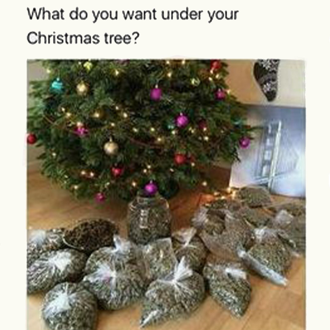 TedGrowing's tweet photo. Tis the season for giving… and blazing 🔥🌲 #Greenxmas https://t.co/PjDZPuu2lm