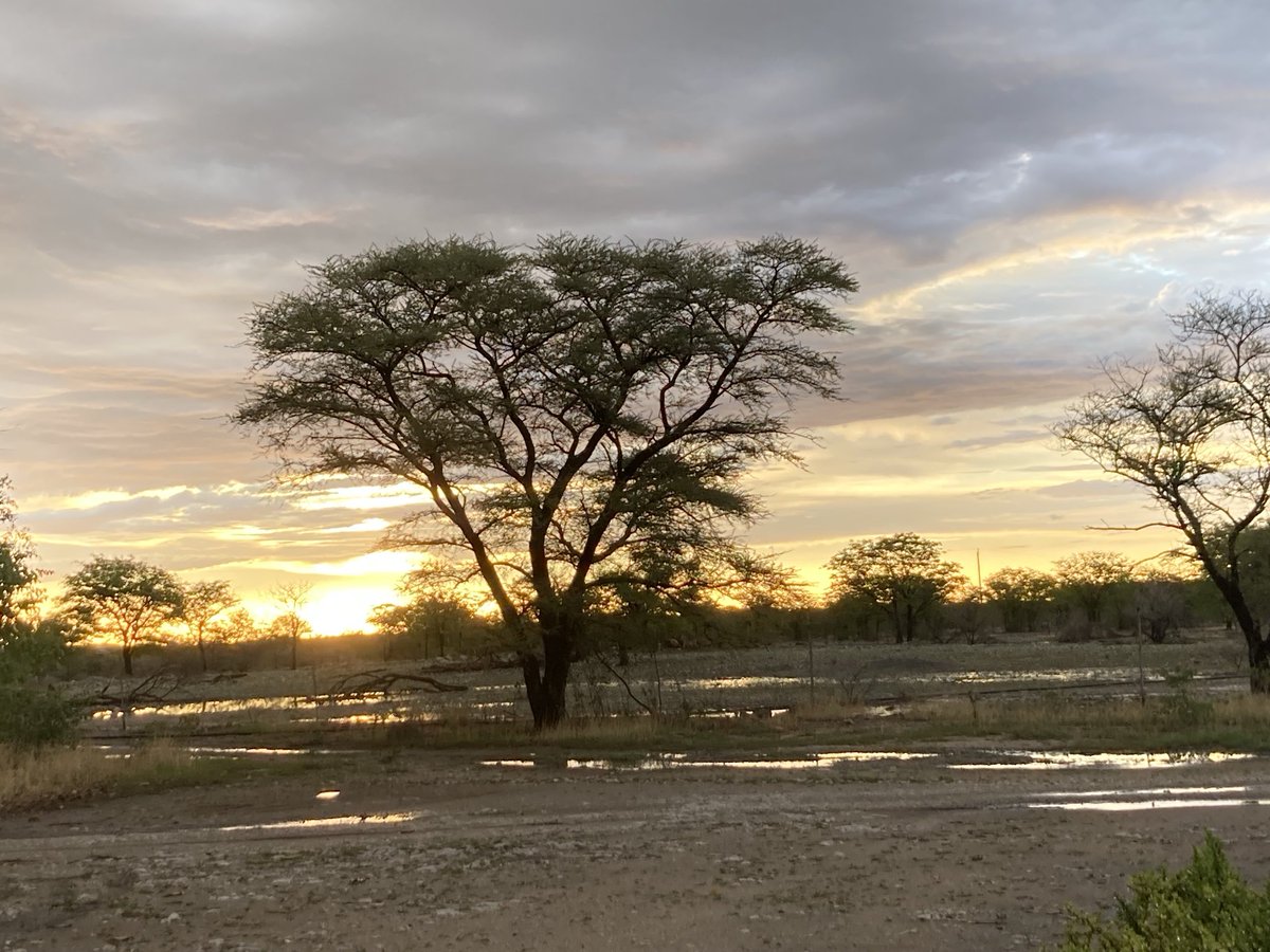 gerdabrand's tweet photo. #gratitude #ournamibia π³π¦ β¦@Daleen124β© https://t.co/ufVpjneXZl