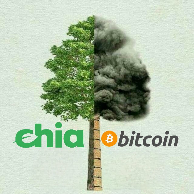 XY_03012009 tweet media