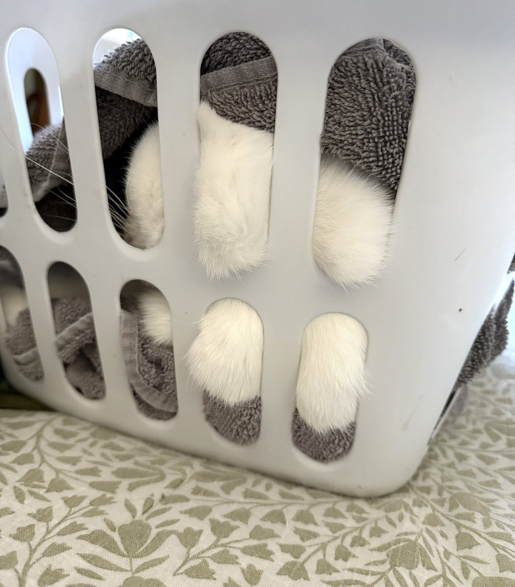 Dede Willingham tweet media