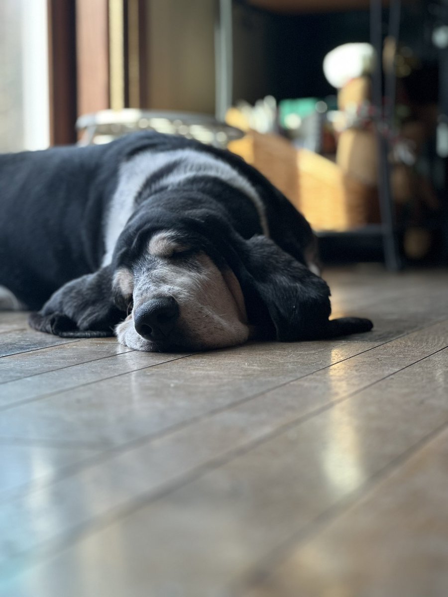 Sunny Sunday In Beloit.