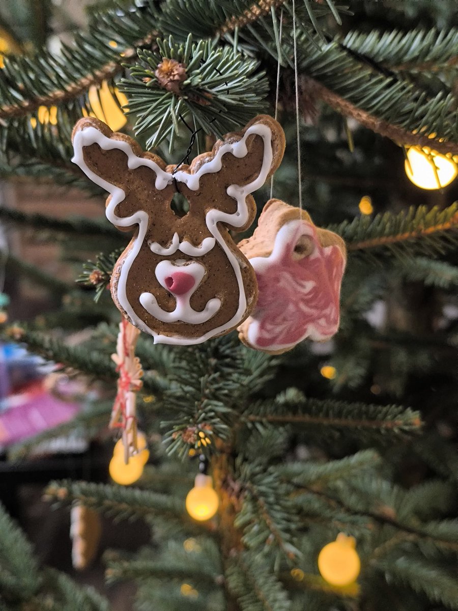 Timeline0Willow's tweet photo. Jily and Wolfstar on my Christmas tree https://t.co/orPk9NxkFE