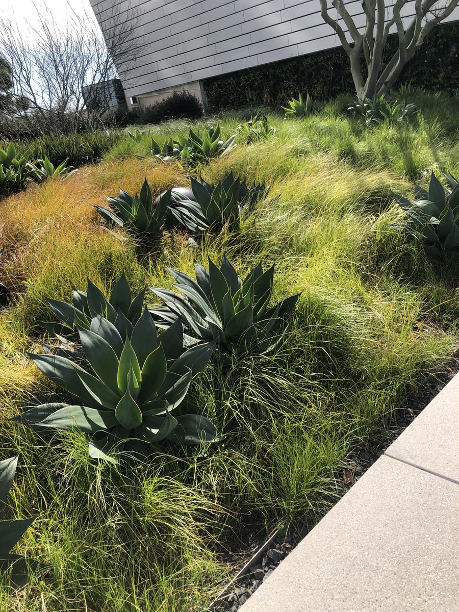 snnann_b's tweet photo. Orange County Museum of Art https://t.co/QQzEgKxMBI