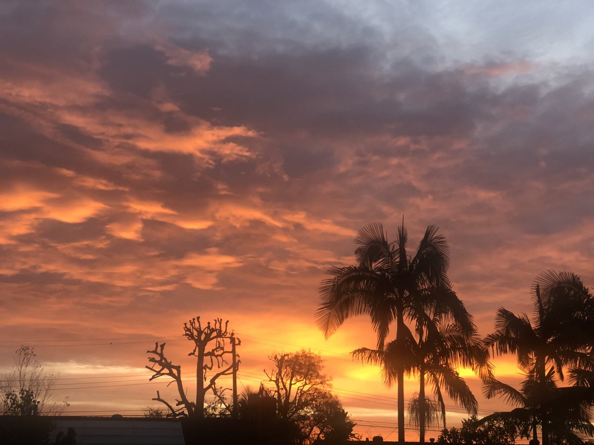 snnann_b's tweet photo. Sunrise on 1st full day of winter 🌴⛄️ https://t.co/ZhnAcq1NMi