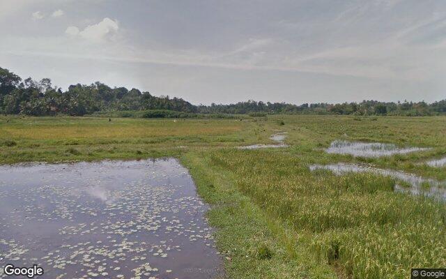 #54226
Elambathalagoda, Palatuwa, Sri Lanka
map: google.com/maps/place/5.9…