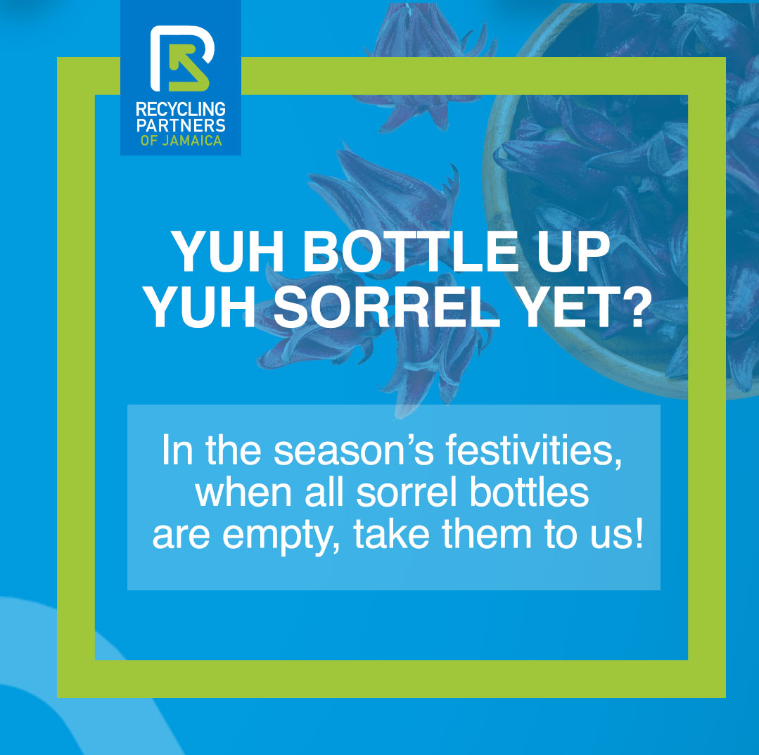RecyclingJA's tweet photo. We know our Jamaican families love sorrel! In the height of the season and sharing our bottles filled with delicious sorrel, we urge you to remember to recycle those bottles when emptied. Let's work together for a better Jamaica. ♻️🍃 #plasticrecycling #recyclingtips #recyclingja https://t.co/S8Nr4kcIAV
