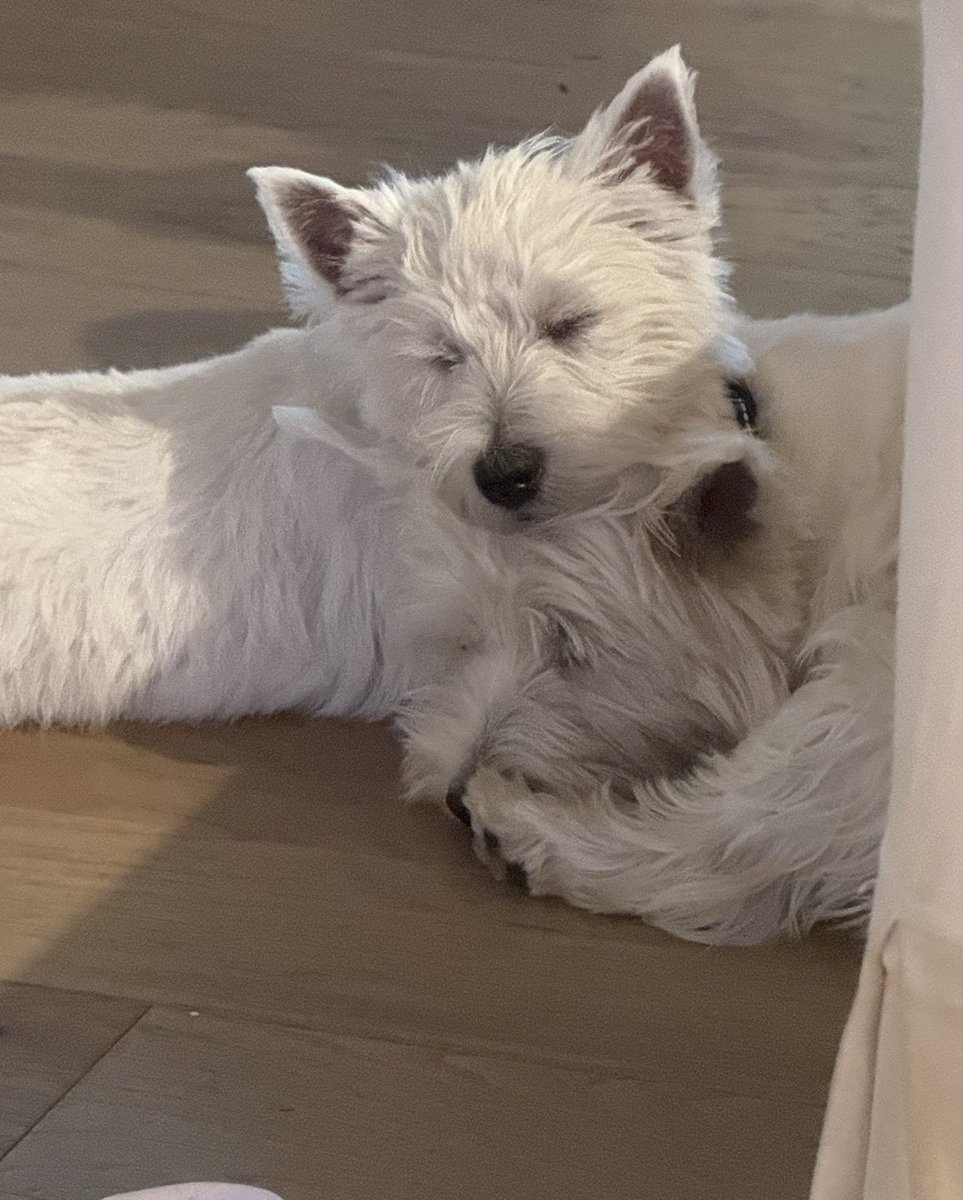 PAmotherrunner's tweet image. #FitzwilliamDarcy  &amp;amp; #ElizabethBennet