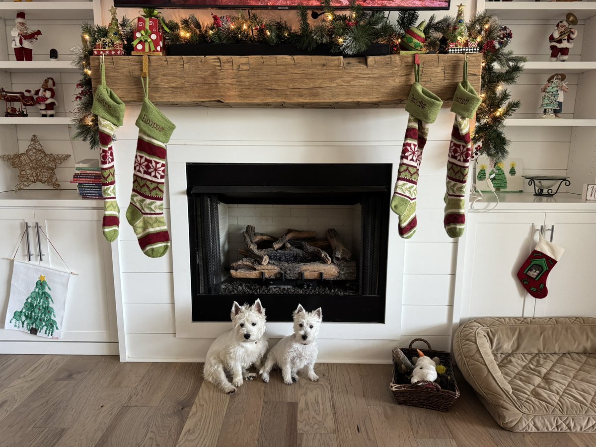 PAmotherrunner's tweet image. #FitzwilliamDarcy  &amp;amp; #ElizabethBennet