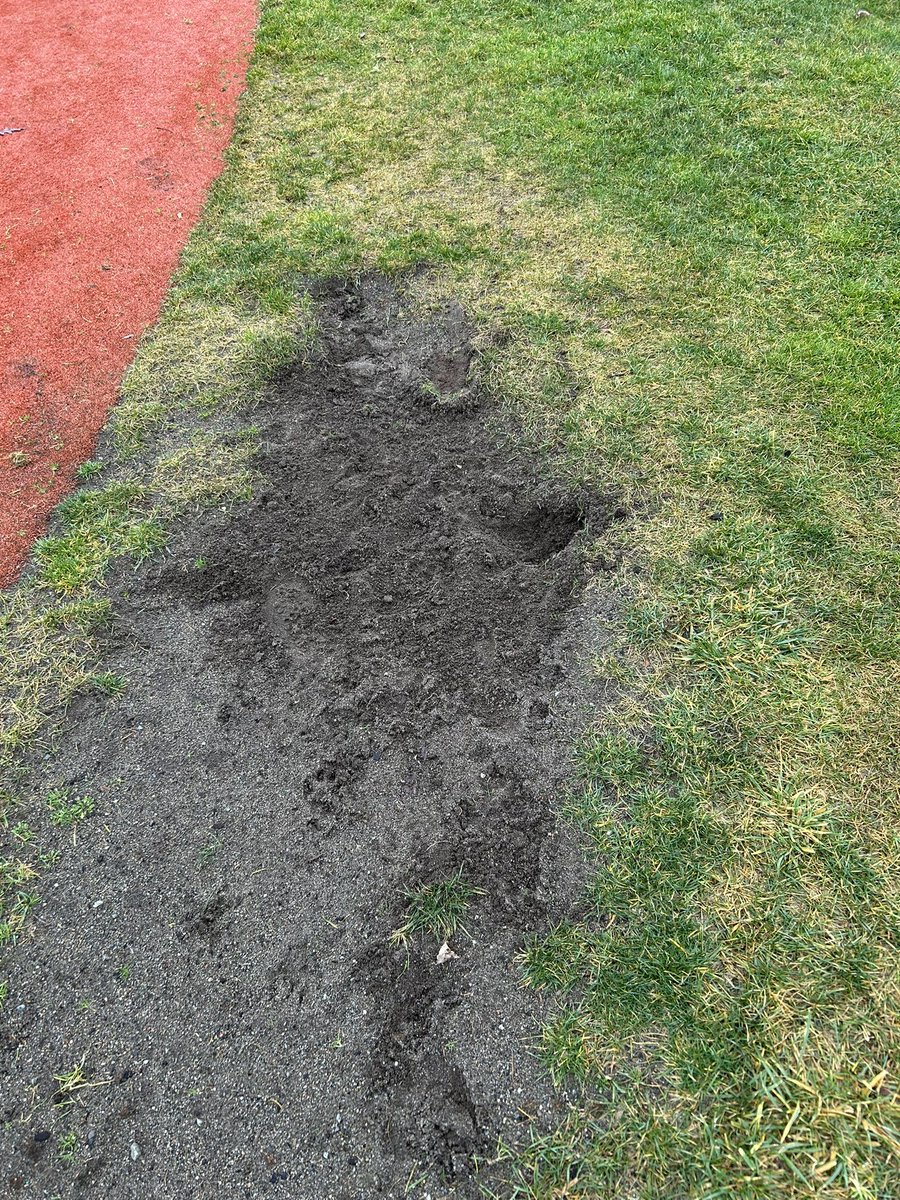 Chris Gailus tweet media