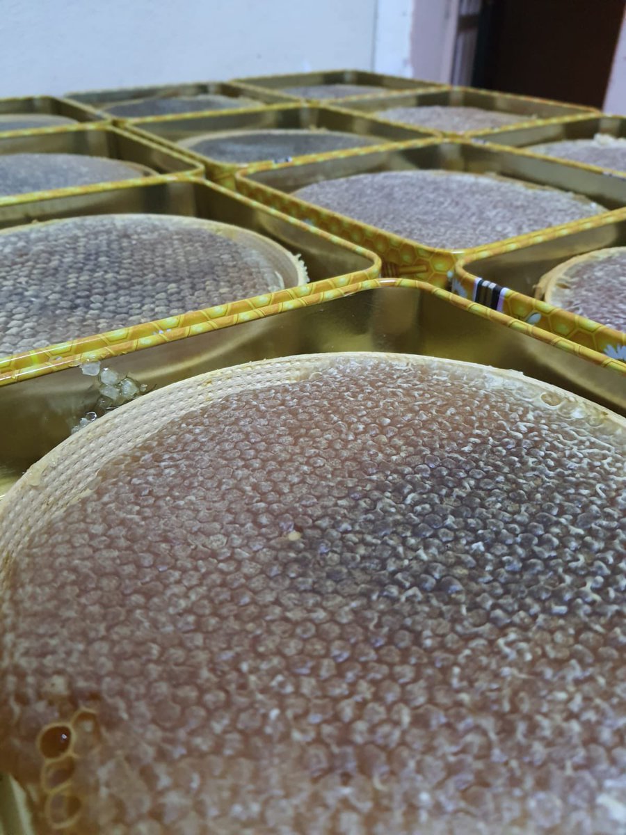 2000 rakımlı Kelkit yaylasından karakovan petek balımız. Mumu tamamen arı yapar. Hiçbir suni yapay mum yoktur. Kekik, geven, hulus, goringe, süpürge çiçeği ve bir çok yayla çiçeği özünden oluşur. Teneke 1,3-1,5 kg arası gelir. #petekbal #karakovanbalı #çiçekbalı