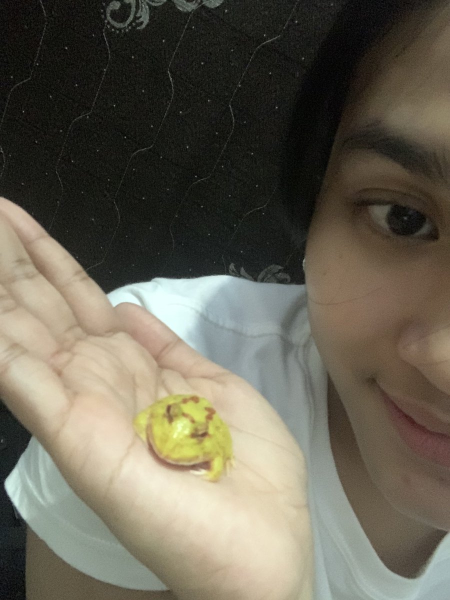 444prllia's tweet photo. mirip noel🐸 https://t.co/7H9ohAZheM