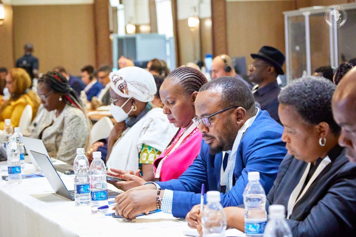 AU_WGYD's tweet photo. The Ministerial Segment of the STC on Justice and Legal Affairs has just adopted the #AUEVAWGConvention, an important step in establishing the historic instrument that will prevent &amp; eradicate #VAWG in Africa. https://t.co/ADgHS71NyJ