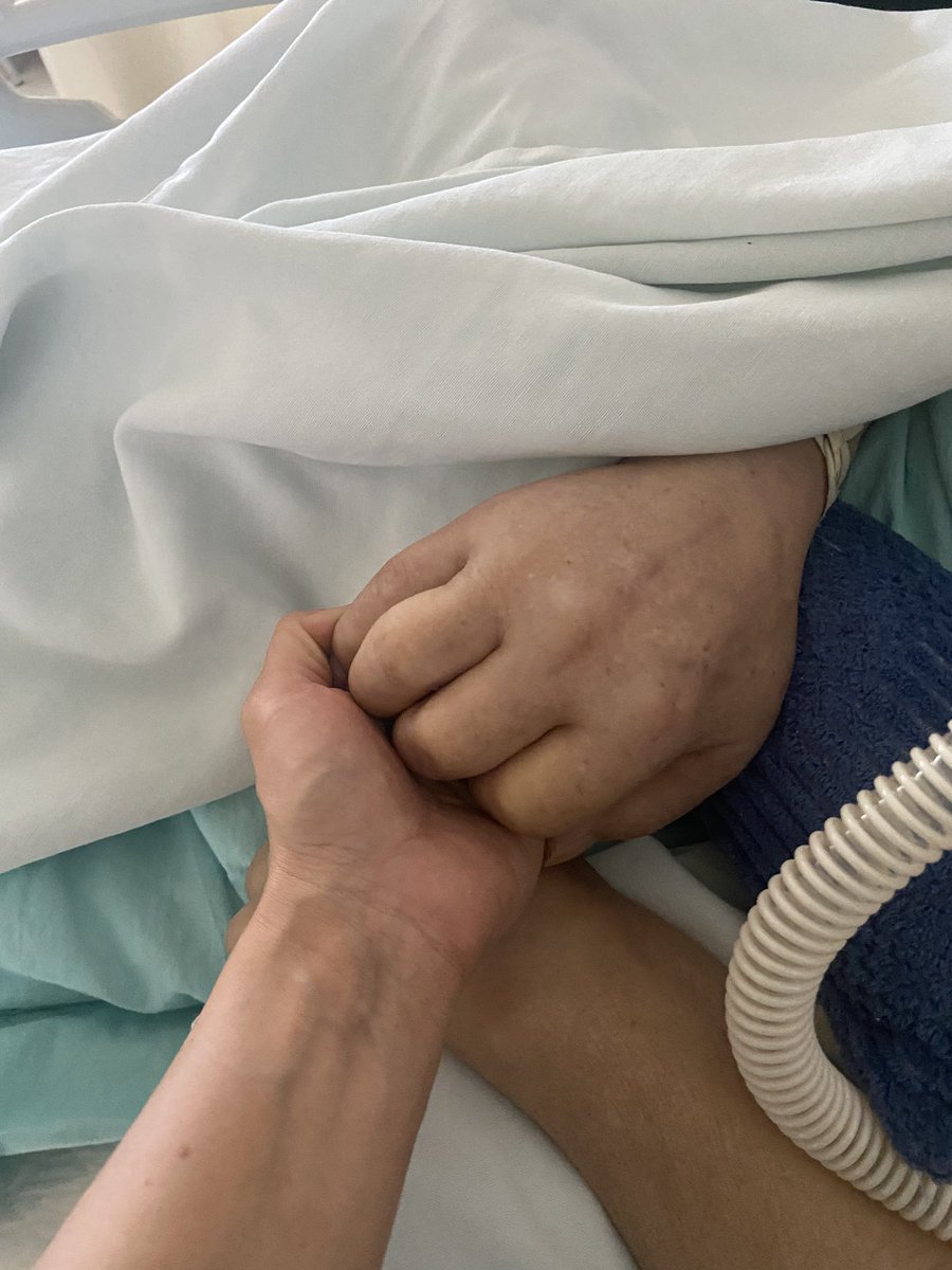 デルフィン選手へ
お返事遅くなり申し訳ございません。