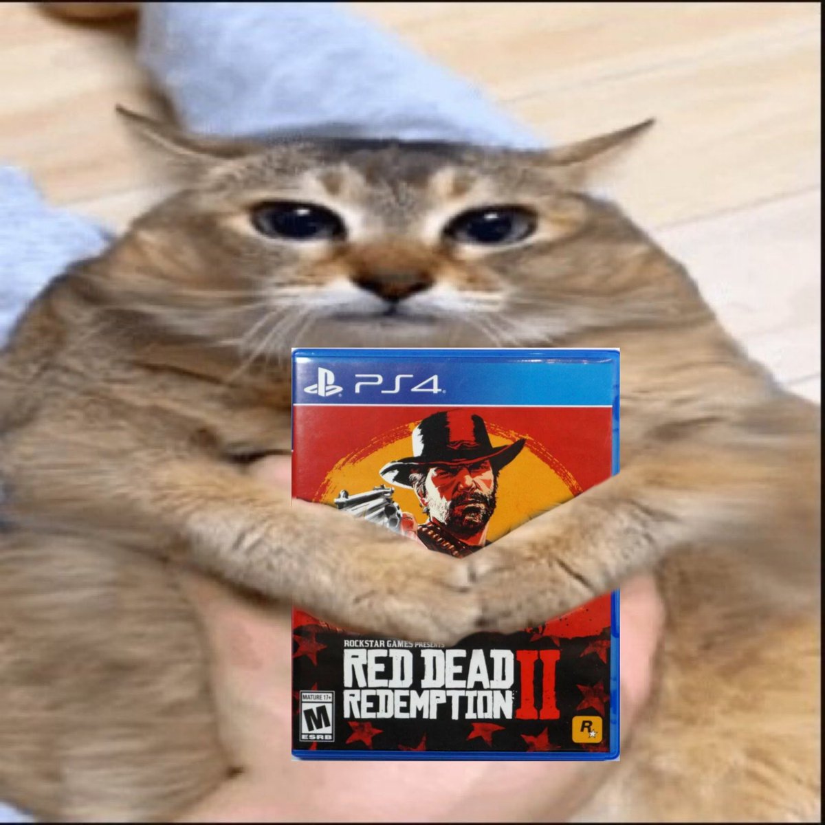 lau du lac ݁ ˖ִ🦇 ࣪. (@rdrcowgirl) on Twitter photo 