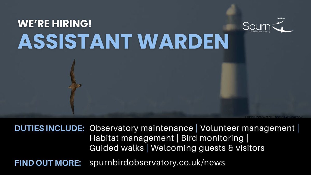 Spurn Bird Observatory (@spurnbirdobs) on Twitter photo π WEβRE HIRING! π
Love birds, conservation & the outdoors? π¦πΏ
Join Spurn Bird Observatory as a Seasonal Assistant Warden!
π Kilnsea, East Yorkshire
π 1st April - 15th Nov 2025
π· Β£19,500βΒ£23,809.50 (pro-rata)
π
 Apply by: 19th Jan 2025
Details: buff.ly/4gjCclB π WEβRE HIRING! π
Love birds, conservation & the outdoors? π¦πΏ
Join Spurn Bird Observatory as a Seasonal Assistant Warden!
π Kilnsea, East Yorkshire
π 1st April - 15th Nov 2025
π· Β£19,500βΒ£23,809.50 (pro-rata)
π
 Apply by: 19th Jan 2025
Details: buff.ly/4gjCclB
