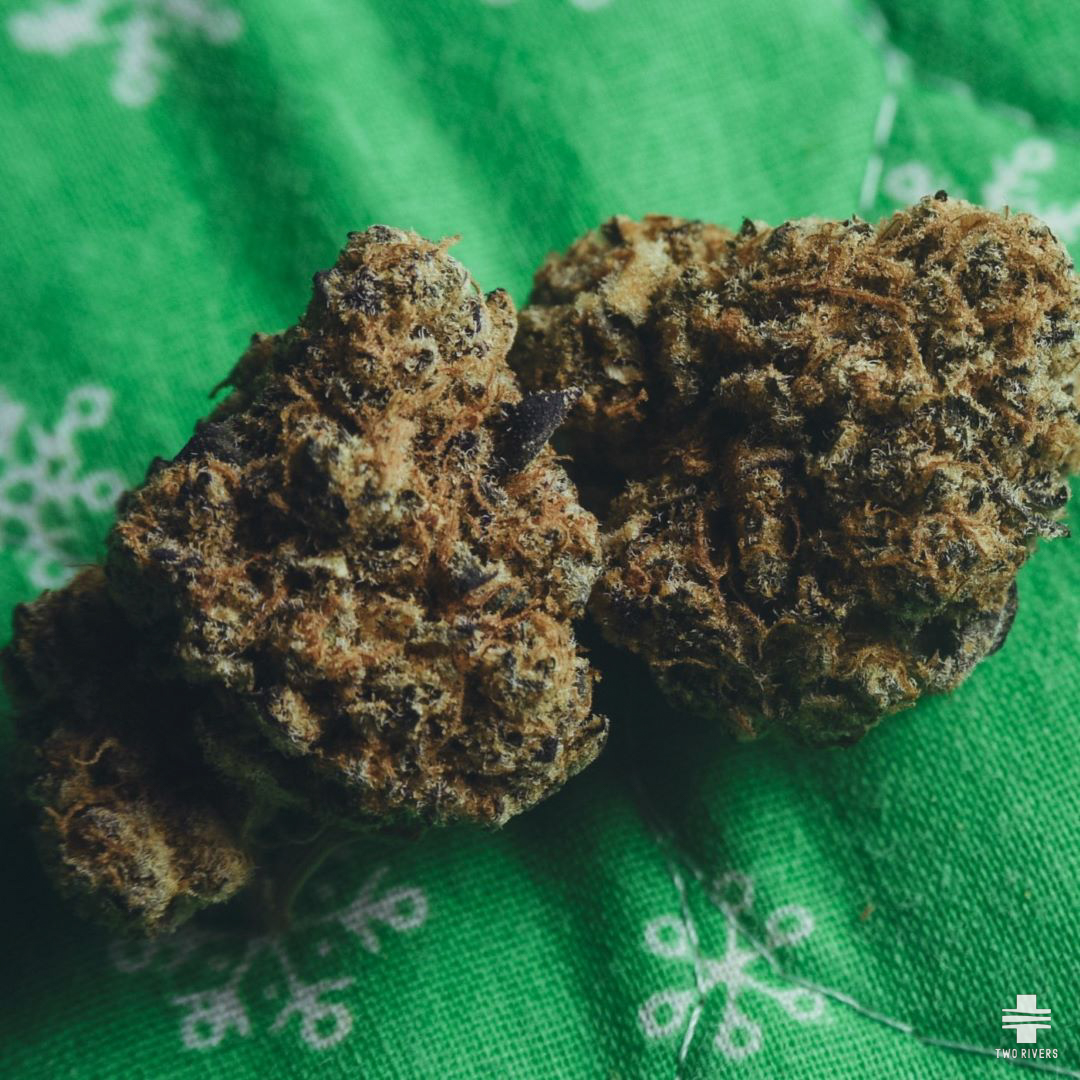 tworivers_sac's tweet photo. 🎄 This holiday season, Sundays just got better! #SuperStonerSunday is here to bring the chill vibes you need amidst the hustle and bustle. ✨ Skip the lines and shop online: https://t.co/0vCf1aB1kU 🚀 #HolidaySelfCare #SacramentoWellness #TwoRiversVibes https://t.co/jN1yQHlmjj