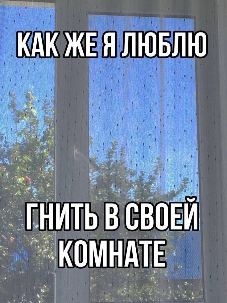 гротеск (@st_grotesque) on Twitter photo 