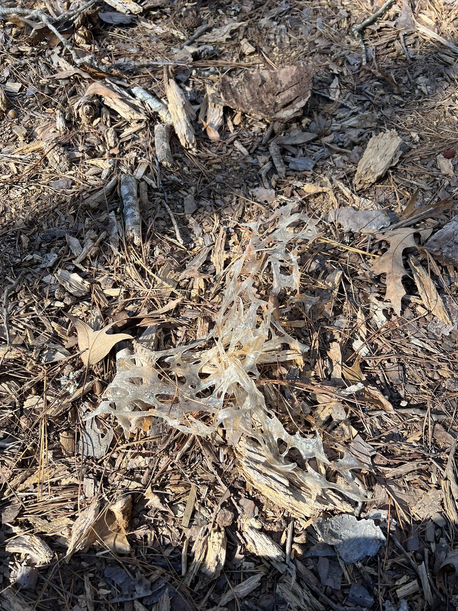 tate.brookins tweet media