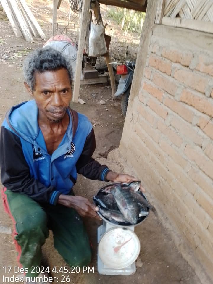 MaxieNinef's tweet photo. Selasa (17/12), Maxianus C. H. Ninef, Luhkan Kab. Lembata, di POKDAKAN Orin Lewotapo, Desa Nogodoni Kec. Atadei, Panen Parsial Ikan Nila sebanyak 2 kg, kolam tembok uk. 7x6 m, harga Rp. 35000/kg.
#panen 
#GiatLuhkanSatminkalGONDOL
#lembata
#luhlapor https://t.co/KfSBOZK3pH