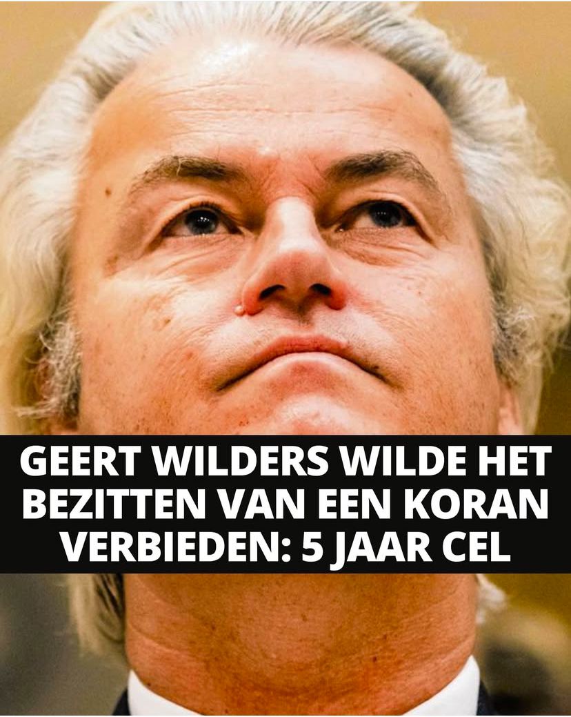 jhndevries's tweet photo. The rise of Dictator https://t.co/hqemqmog8G