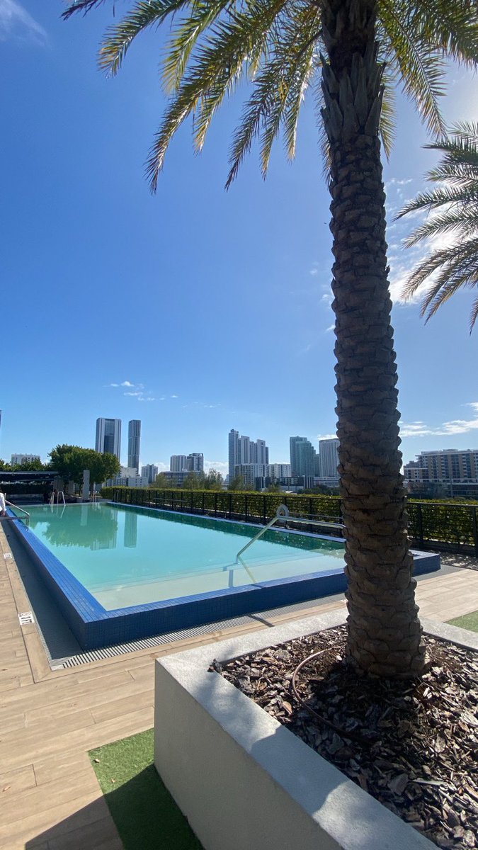 ReflexFN tweet media