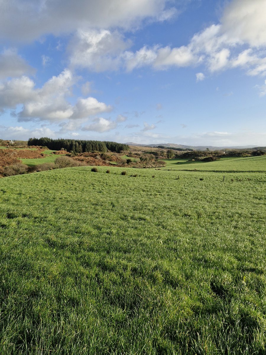 Patrick Mc Carthy tweet media