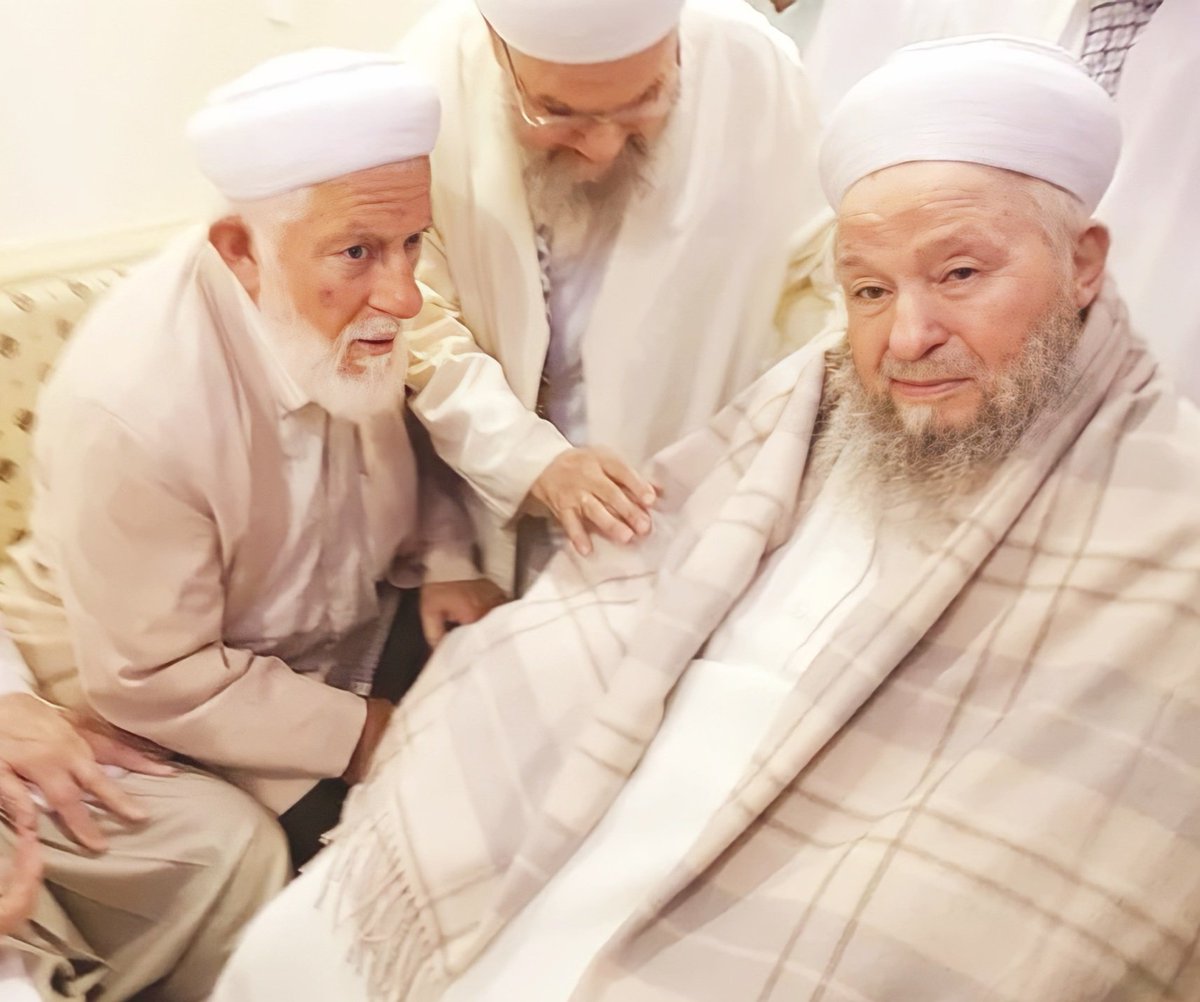 Instead of harbouring ill thoughts and risking error, strive to have good opinions and allow them to flourish. For indeed, possessing a good opinion is a hallmark of true faith.

- Shaykh Mahmud Efendi (may Allah be pleased with him)