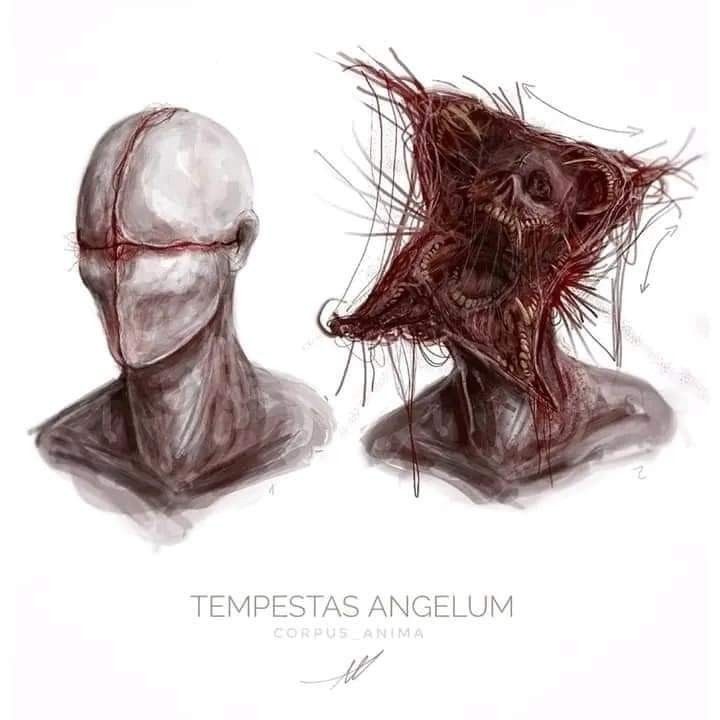 Roll Perception.

Roll Wisdom Saving Throw.

Roll Initiative.